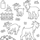 Coloriage les chèvres : un bouc, une chèvre et des chevreaux