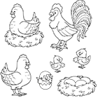 Coloriage à imprimer, une poule, un coq, des poussins