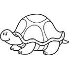 Coloriage une tortue