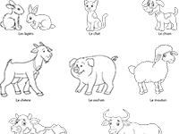 Imagier des animaux de la ferme à colorier