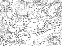 Fiche gratuite à imprimer, les animaux de la jungle