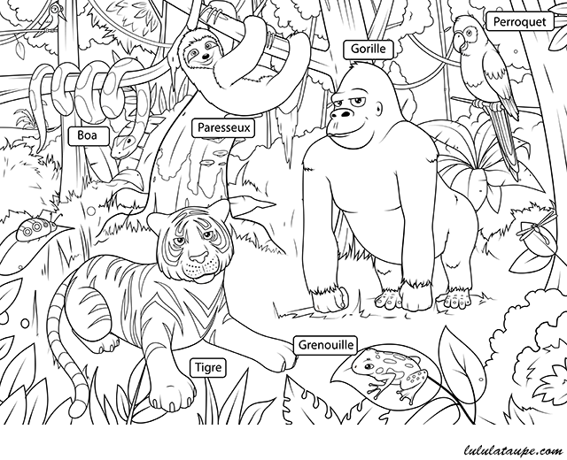 Fiche pédagogique, les animaux de la jungle