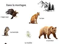 Imagier pour maternelle, les animaux de la montagne