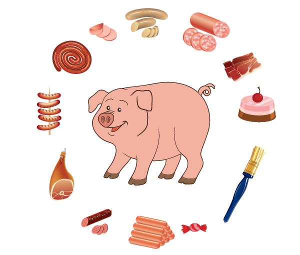 Production à partir du cochon, charcuterie, pinceau de soies et gélatine