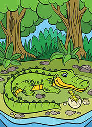 Un crocodile et un petit crocodile qui sort d'un œuf