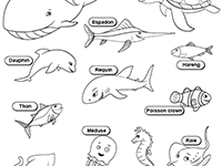 Fiche gratuite à imprimer, les animaux marins