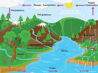 Le cycle de l'eau