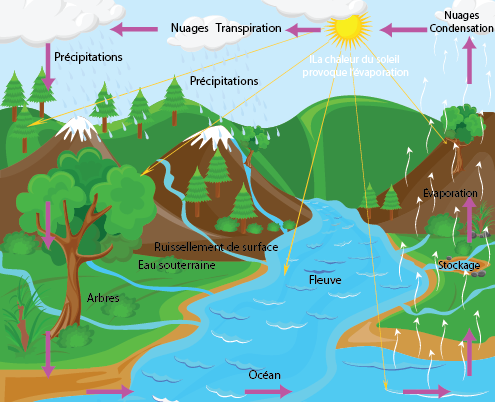 Le cycle de l'eau