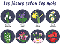 Imagier, les fleurs selon les mois de l'année