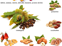 Imagier pour apprendre les noms des fruits exotiques