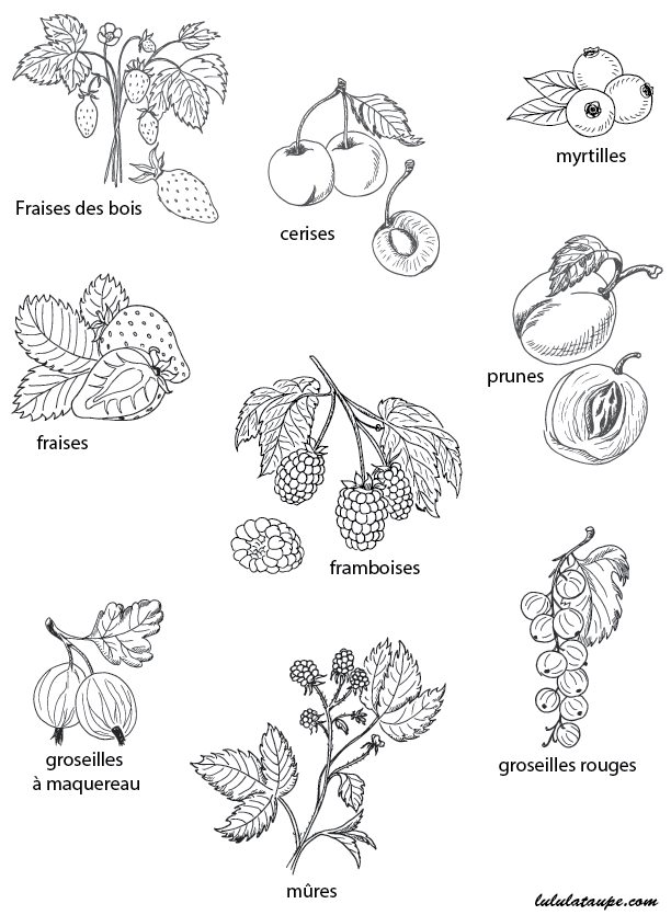 Fiche, les fruits et les noms à imprimer 