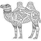 Coloriage antistress pour adultes ou enfants à imprimer, un chameau