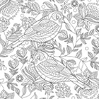 Dessin antistress à colorier, des oiseaux