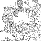 Dessin antistress, des fleurs et des papillons et des fleurs