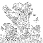 Dessin à colorier, les animaux de la forêt, écureuil, hibou, escargot