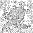 Coloriage antistress pour adultes ou enfants à imprimer, une tortue marine