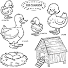 Coloriage un canard, une cane, les canetons, un nid avec œufs, un poulailler
