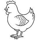 Coloriage une poule