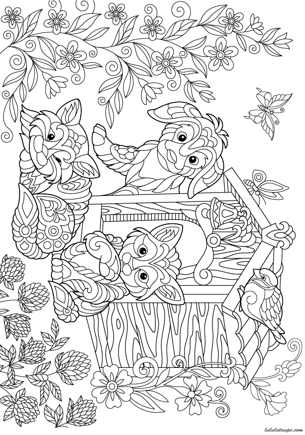 Coloriage pour adultes, un chien devant sa niche et des chats