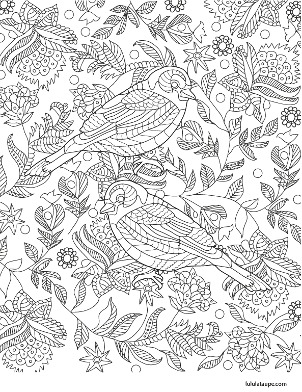Coloriage antistress, des oiseaux et des fleurs