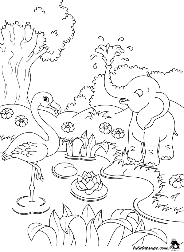 Dessin à colorier, des animaux au bord de l'eau