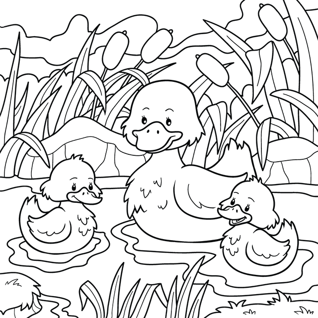 Dessin à colorier, une cane et ses canetons sur l'eau