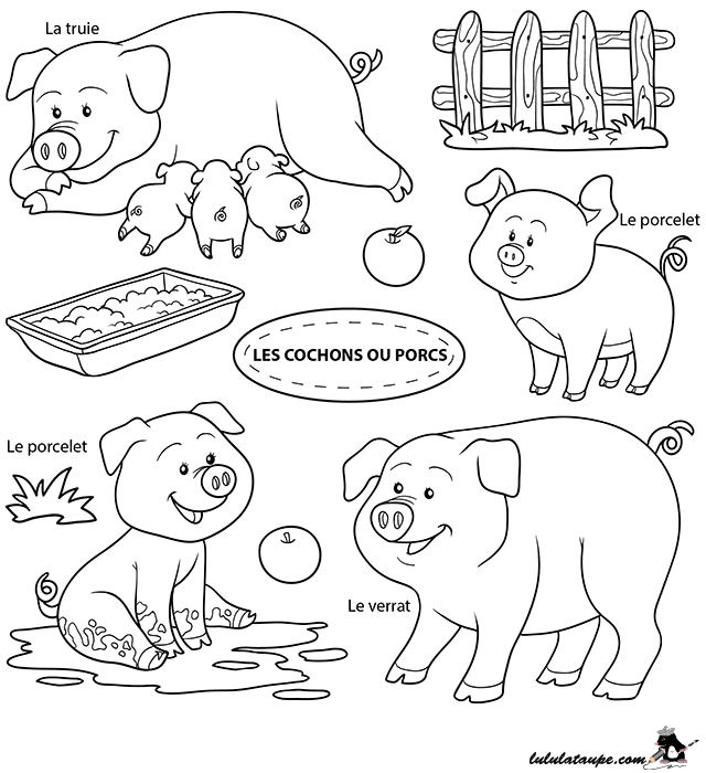 Dessin gratuit à colorier, des cochons : truie, verrat et porcelets