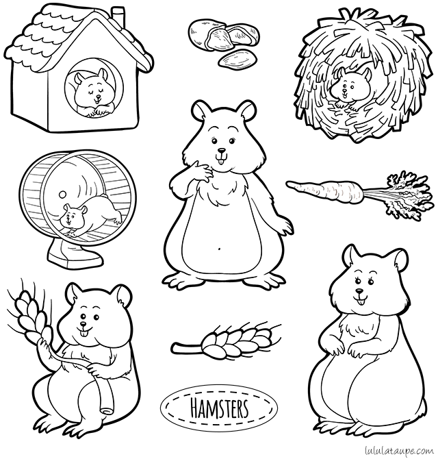 Dessin gratuit à colorier : les hamsters