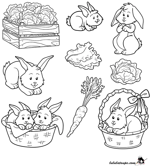 Dessin gratuit à colorier : un lapin, une lapine, des lapereaux, une carotte