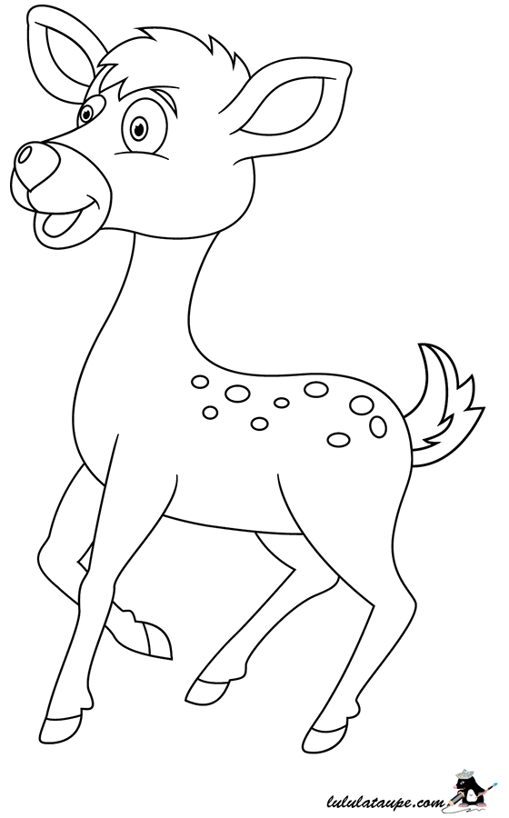 Dessin à colorier, un faon