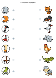 Relier chaque patte à l'animal qui correspond, jeu à imprimer pour enfants de maternelle
