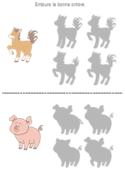 Jeu des ombres, exercice ludique pour enfants des classes de maternelle