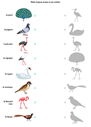 Jeu à imprimer, les ombres d'oiseaux
