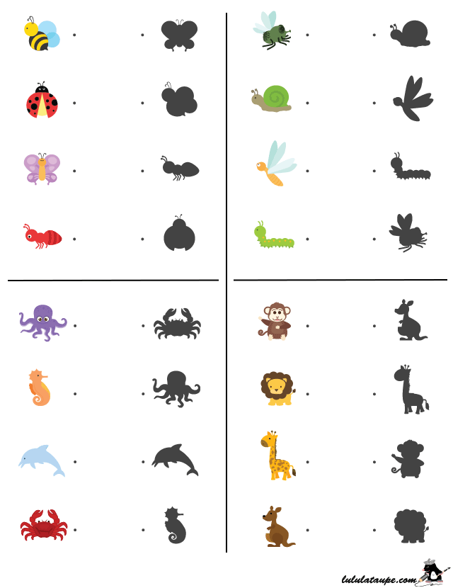 Jeu des ombres à imprimer