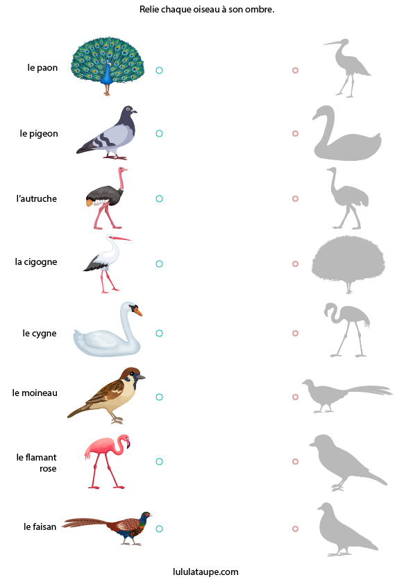 Jeu des ombres gratuit à imprimer, les oiseaux