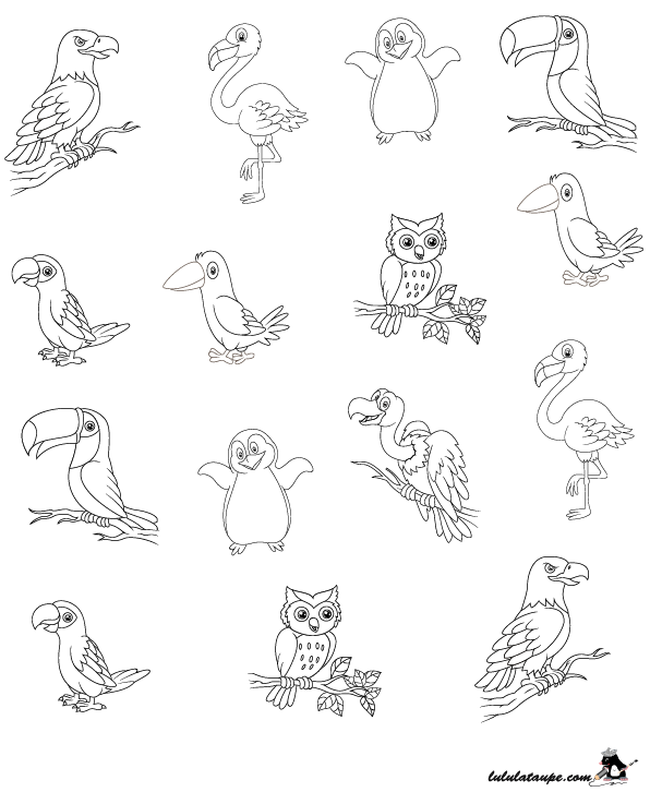 Exercice ludique, trouver un oiseau unique parmi des couples d'oiseaux