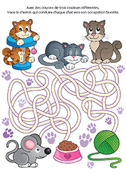 Jeu de labyrinthe en couleur pour enfants de 3 ans et plus