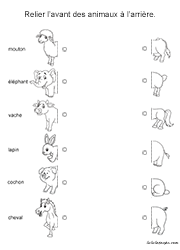 Fiche ludique, relier l'avant des animaux à l'arrière