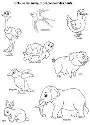 Exercice ludique à imprimer, les animaux qui pondent des œufs