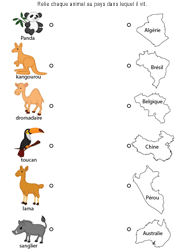 Exercice gratuit, relier chaque animal au pays dans lequel il vit