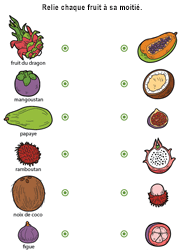 Apprendre le nom des fruits : fruit de la passion, le mangoustan, la papaye, le ramboutan, la noix de coco, la figue. 