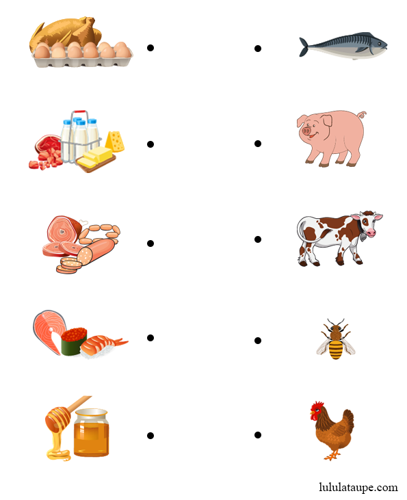 D'où proviennent les aliments, jeu éducatif pour enfants de 5 ans et plus
