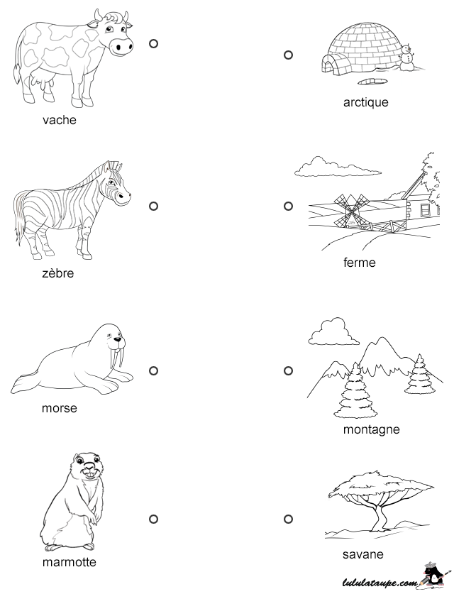 Exercice gratuit, les animaux et leur lieu d'habitation