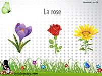 Jeu gratuit en ligne pour apprendre le nom des fleurs