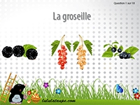 Jeu gratuit en ligne pour apprendre le nom des fruits