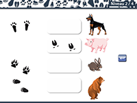Jeu gratuit en ligne pour apprendre à reconnaître les empreintes des animaux