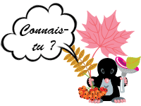Jeux en ligne : connais-tu ?