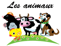 Fiches gratuites de découverte des animaux
