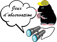 Jeux d'observation en ligne, enfants de 4 à 6 ans