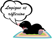 Jeux de logique et de réflexion, enfants de 4 à 6 ans